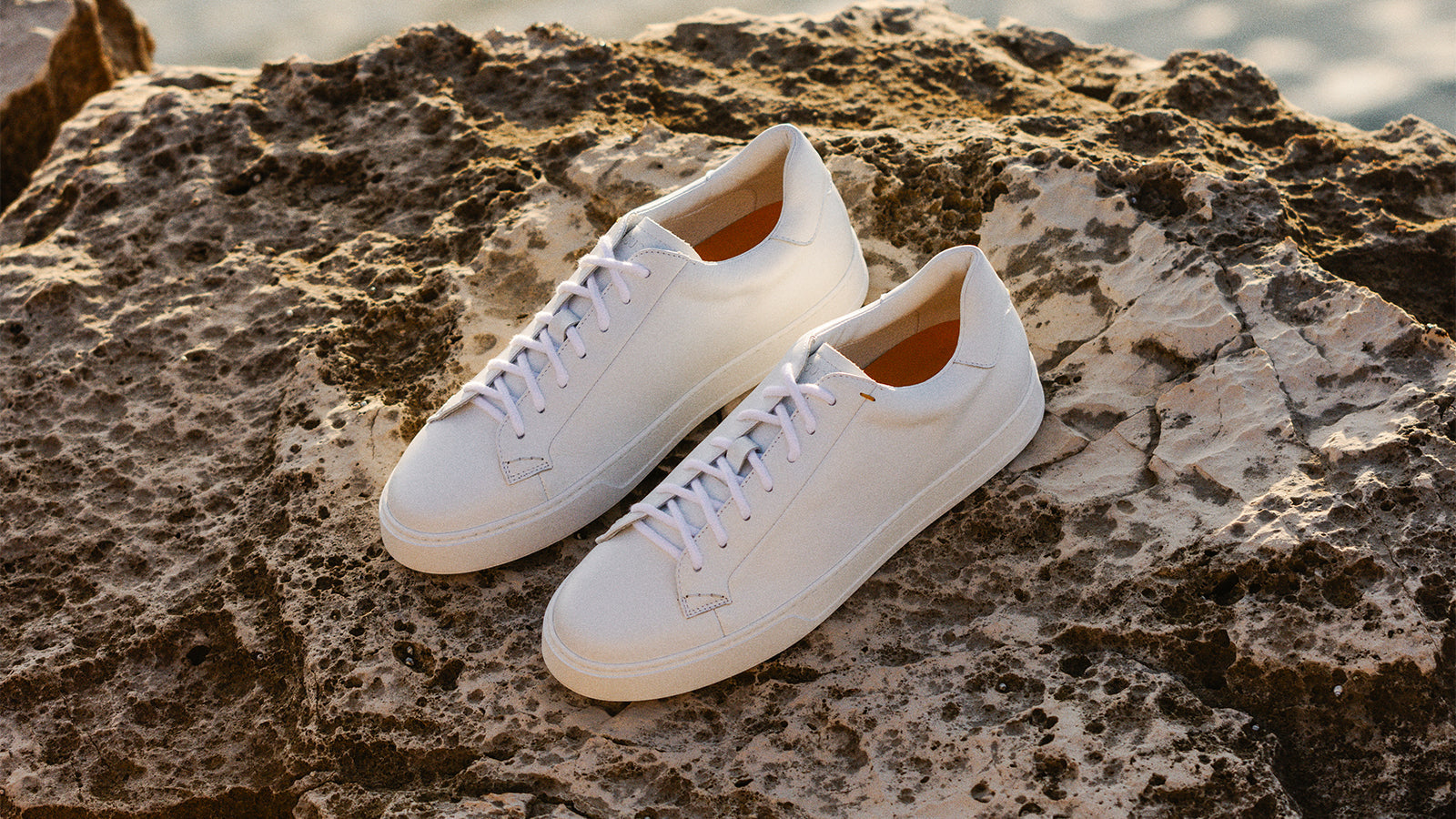 Aanbiedingen Skechers Winkel -Aanbiedingen Skechers Winkel uomo sneakers